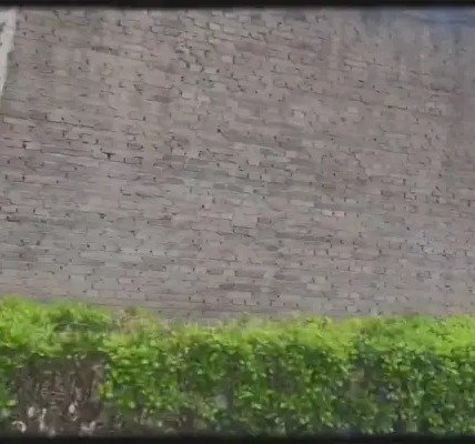本次展览由星空体育登录主办