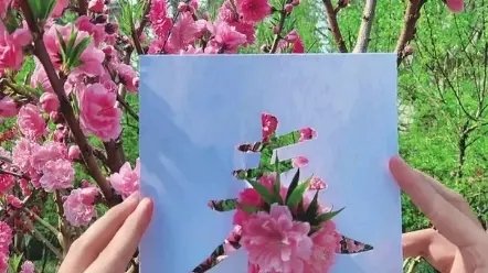 书画频道山西工作中心