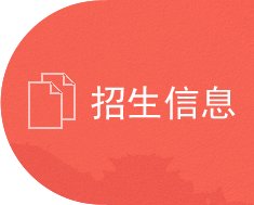 作品风貌丰富多元